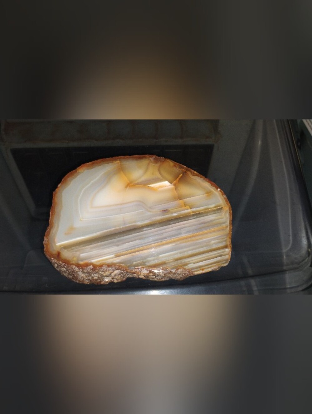 Natural Polished Waterline Agate Slice Nodule Specimen Display Rock